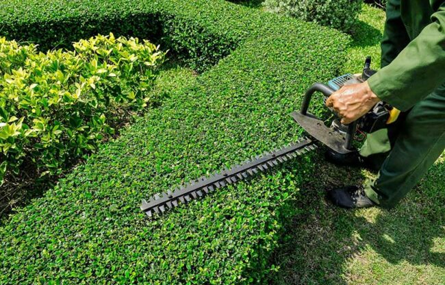 Entretien espaces verts particuliers entreprises Livarot Vimoutiers Pays d'Auge